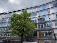 Oberanger 28 - Alucobond- Stützen Kupfer