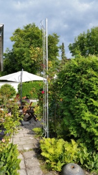Rosenspalier Gröbenzell