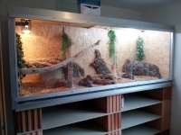 Terrarium